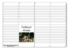 Faltbuch-Amsel-L-9.pdf